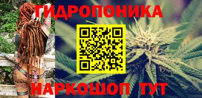 стаф Канаш