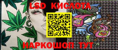 кокс Кандалакша