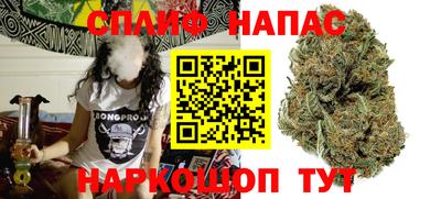 стаф Канаш