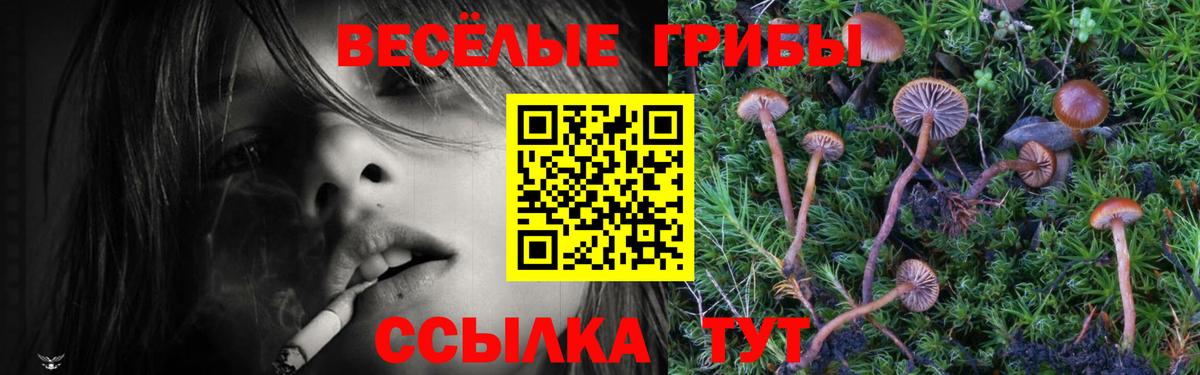 Галлюциногенные грибы Magic Shrooms  Псилоцибиновые грибы прущие грибы  Кушва  Вход с VPN 